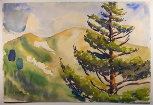 $250

original mid century watercolor painting 
big sur, california
15"x22"