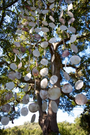 $195

it's raining shells!
curtain of shells suspended by a bamboo rod. 
6'8" high x 34" wide.