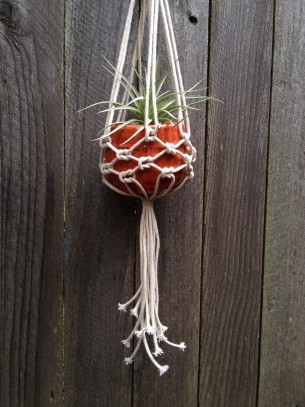 $40-$70 

Driftwood Macramé Plant Hangers and Wall Hangings
(click on title to view images)